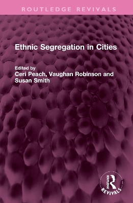 Cover of Ethnic Segregation in Cities