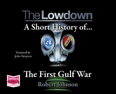 Book cover for The Lowdown: A Short History of the First Gulf War