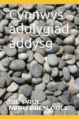Book cover for Cynnwys adolygiad addysg