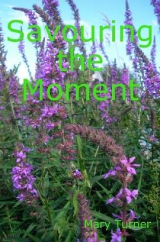 Cover of Savouring the Moment