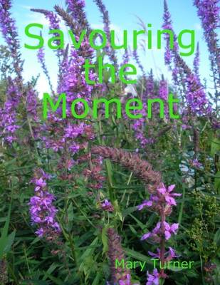 Book cover for Savouring the Moment