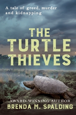 Book cover for The Turtle Thieves