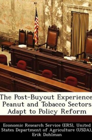 Cover of The Post-Buyout Experience