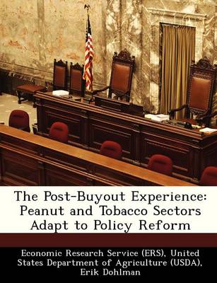 Book cover for The Post-Buyout Experience