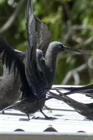 Cover of Shearwater Birds on a Roof Journal