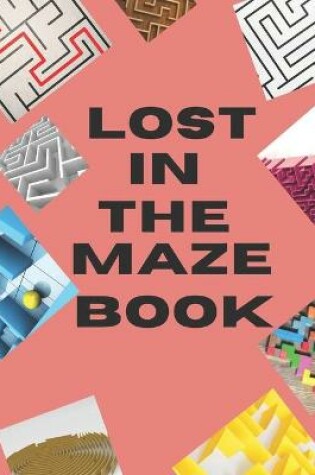 Cover of Lost In The Maze Book