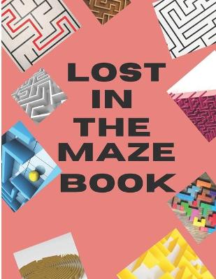 Book cover for Lost In The Maze Book