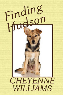 Book cover for Finding Hudson