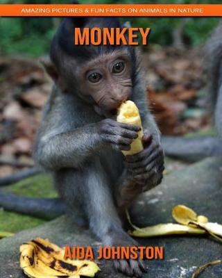 Book cover for Monkey