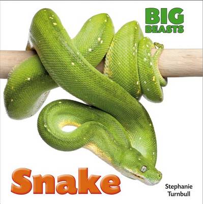 Cover of Snake