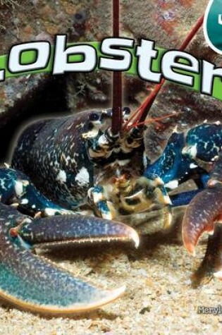 Cover of Lobsters