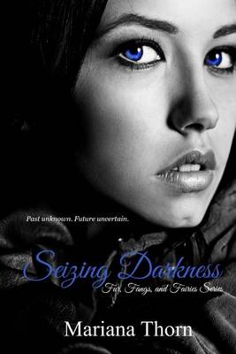 Book cover for Seizing Darkness