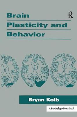 Cover of Brain Plasticity and Behavior