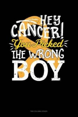 Cover of Hey Cancer You Picked the Wrong Boy