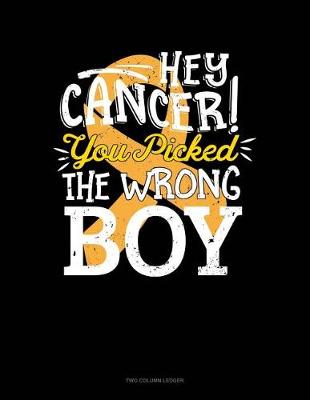 Book cover for Hey Cancer You Picked the Wrong Boy