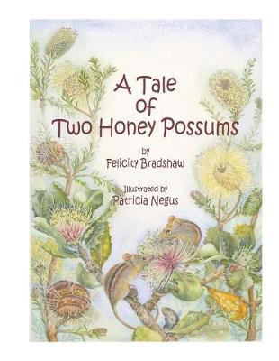 Book cover for A Tale of Two Honey Possums