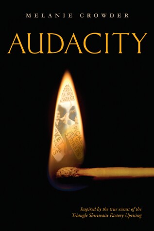 Book cover for Audacity