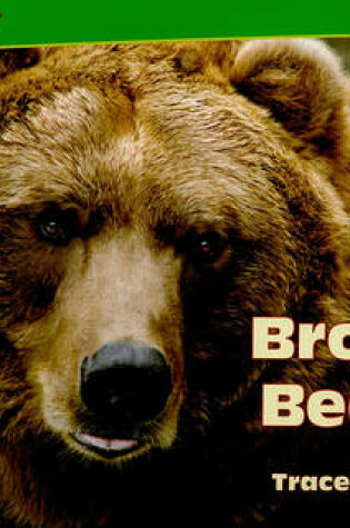 Cover of Brown Bears