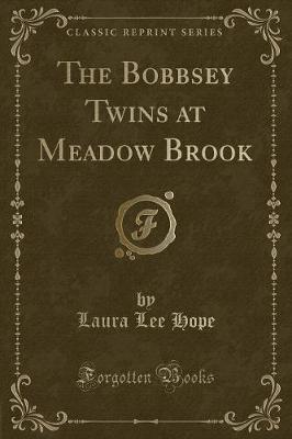 Book cover for The Bobbsey Twins at Meadow Brook (Classic Reprint)