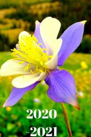 Cover of Pretty Purple Blue Colorado Columbine Wildflower Lover's 25 Month Weekly Planner Dated Calendar for Women & Men