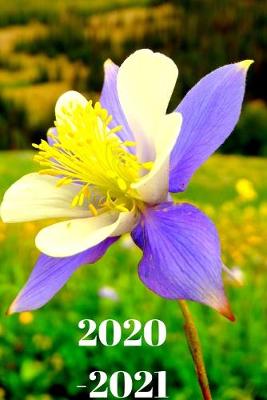 Book cover for Pretty Purple Blue Colorado Columbine Wildflower Lover's 25 Month Weekly Planner Dated Calendar for Women & Men