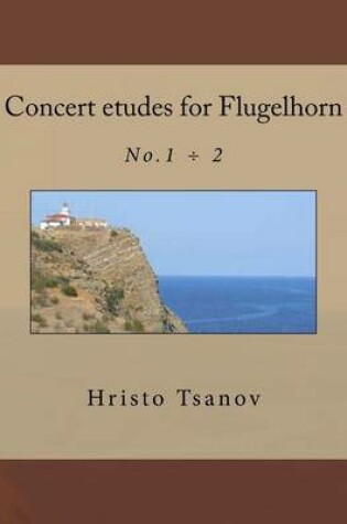 Cover of Concert etudes for Flugelhorn