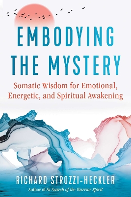 Book cover for Embodying the Mystery