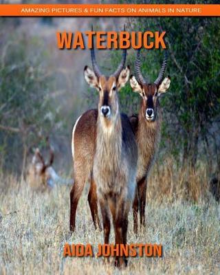 Book cover for Waterbuck