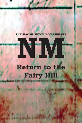 Book cover for Return to the Fairy Hill