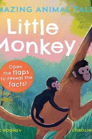 Cover of Amazing Animal Tales: Little Monkey