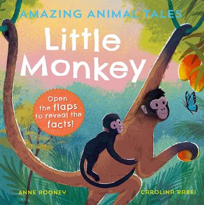 Book cover for Amazing Animal Tales: Little Monkey