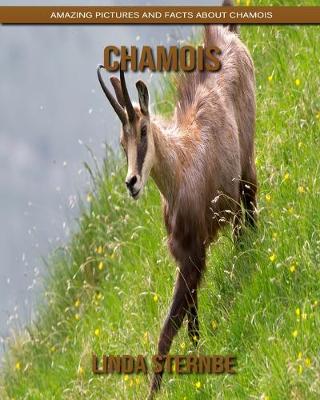 Book cover for Chamois