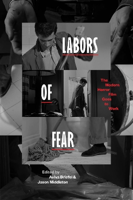 Cover of Labors of Fear