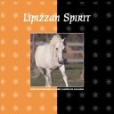 Book cover for Lipizzan Spirit Pb