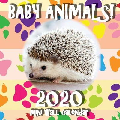 Book cover for Baby Animals! 2020 Mini Wall Calendar