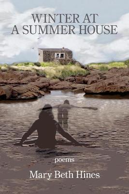 Book cover for Winter at a Summer House