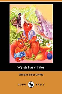 Book cover for Welsh Fairy Tales (Dodo Press)