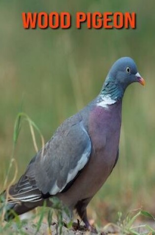 Cover of Wood Pigeon