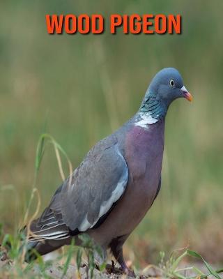 Book cover for Wood Pigeon