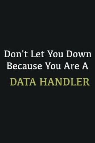 Cover of Don't let you down because you are a Data handler