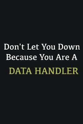 Book cover for Don't let you down because you are a Data handler