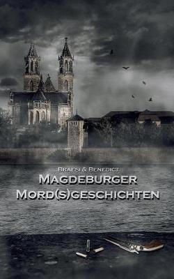 Book cover for Magdeburger Mordsgeschichten