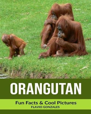 Book cover for Orangutan