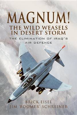 Book cover for Magnum! the Wild Weasels in Desert Storm