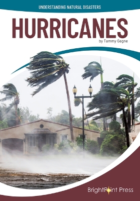 Cover of Hurricanes