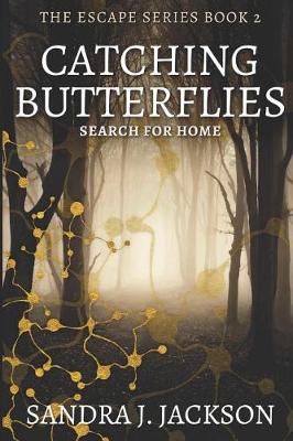 Book cover for Catching Butterflies