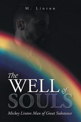 Book cover for The Well of Souls