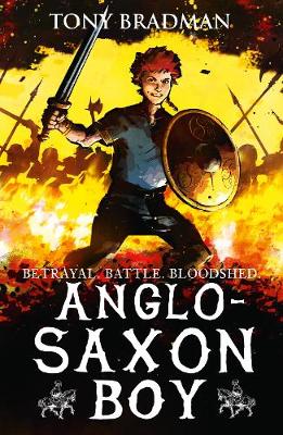 Book cover for Anglo-Saxon Boy