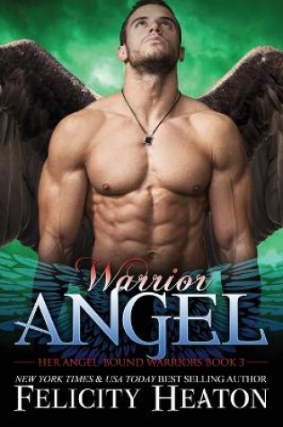 Cover of Warrior Angel