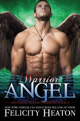 Book cover for Warrior Angel